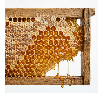 Рамка с медом мал