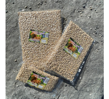 Ядро кедрового ореха